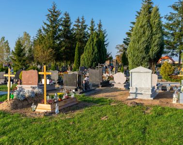 Death and Disability insurance for expats